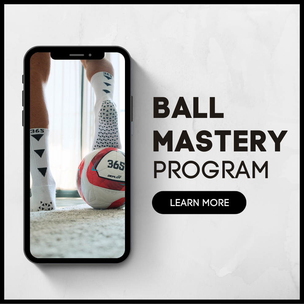 Ball Mastery Program – Soheil Var
