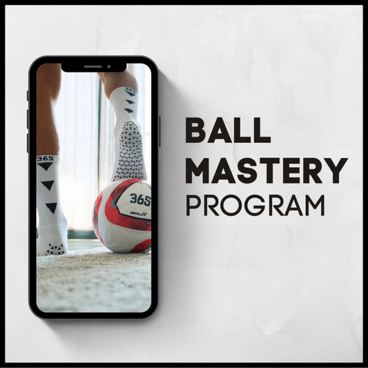 Ball Mastery Program
